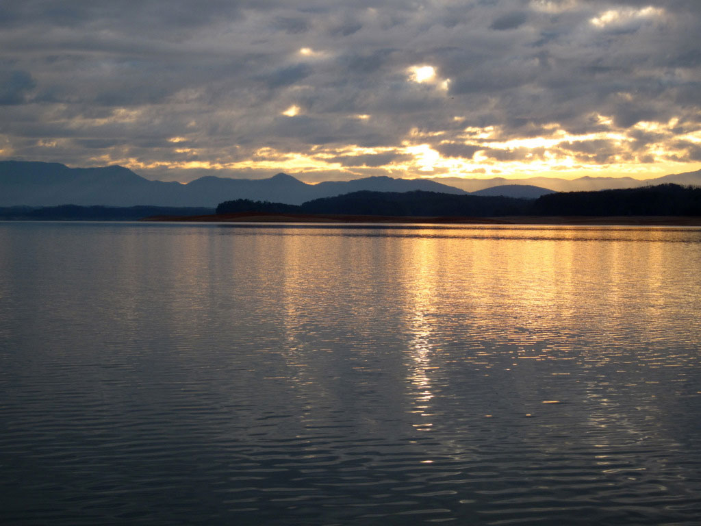 douglas lake tn