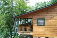 Douglas Lake Tennessee Rentals